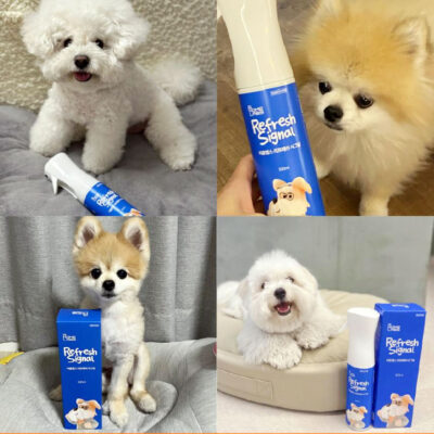 リフレッシュシグナル ペット用消臭剤 - SUNOCS CARE